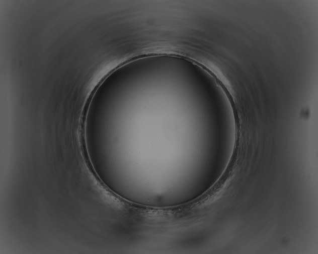 X0000091660901200708301436