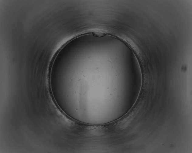 X0000091660902200708301436