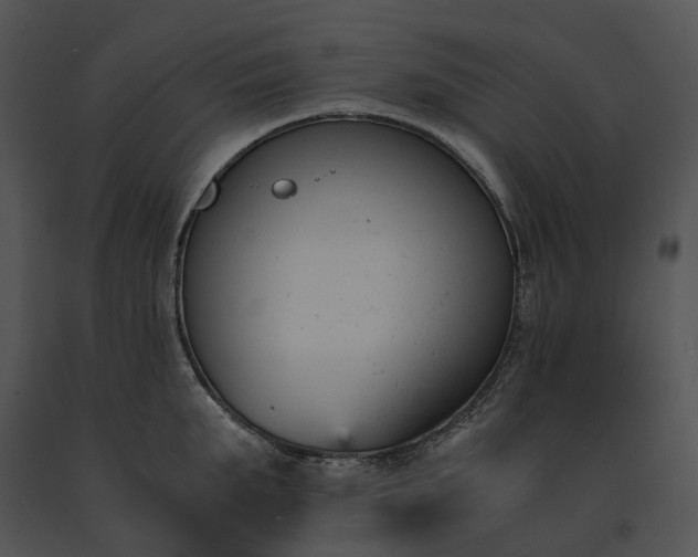 X0000091660903200708301436