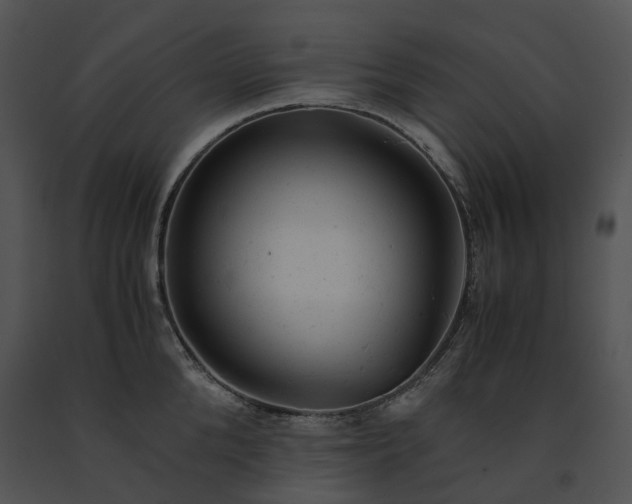 X0000091660904200708301436