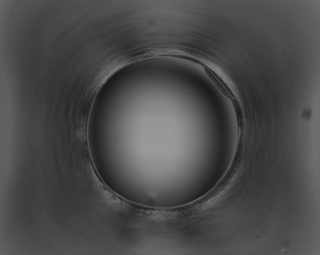 X0000091660905200708301436