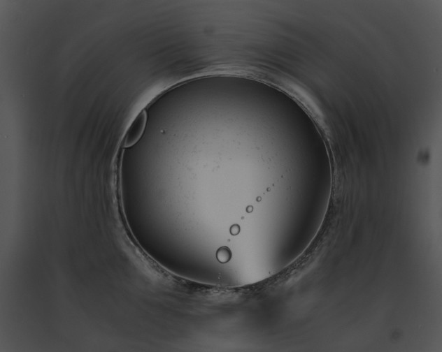 X0000091660907200708301436