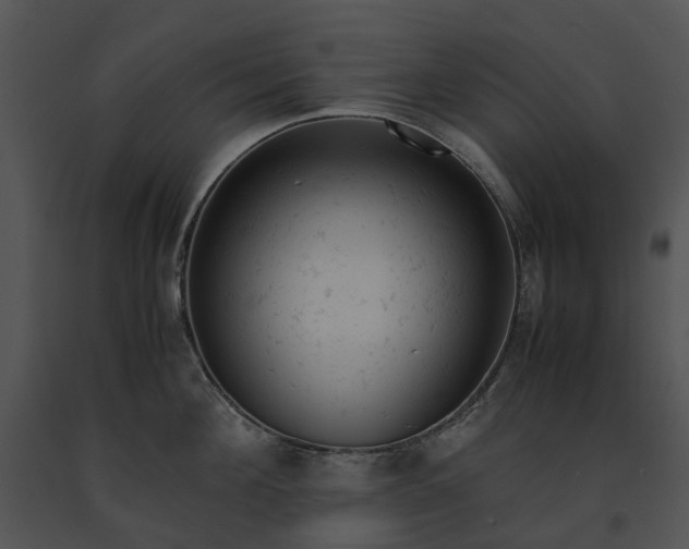 X0000091660908200708301436