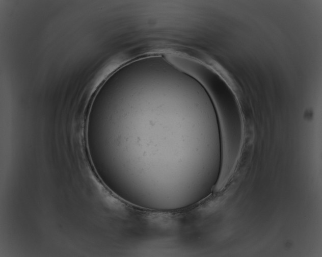 X0000091660909200708301436