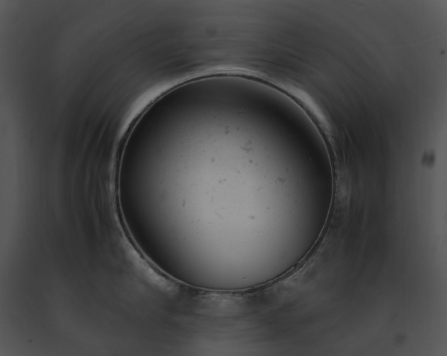 X0000091660910200708301436