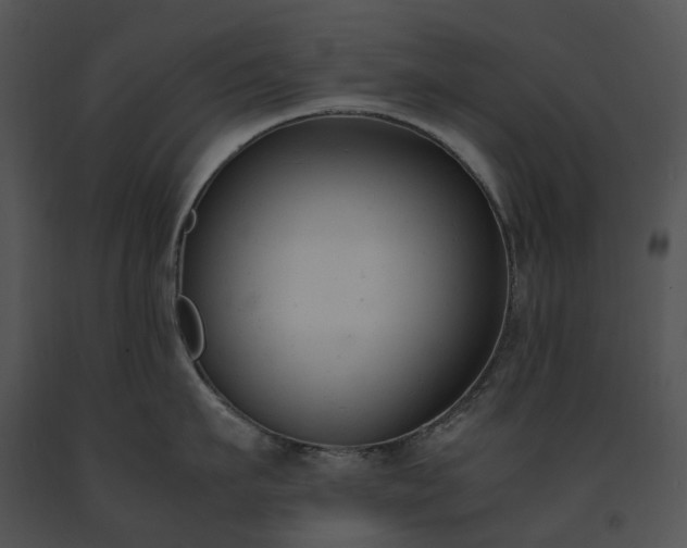 X0000091660911200708301436
