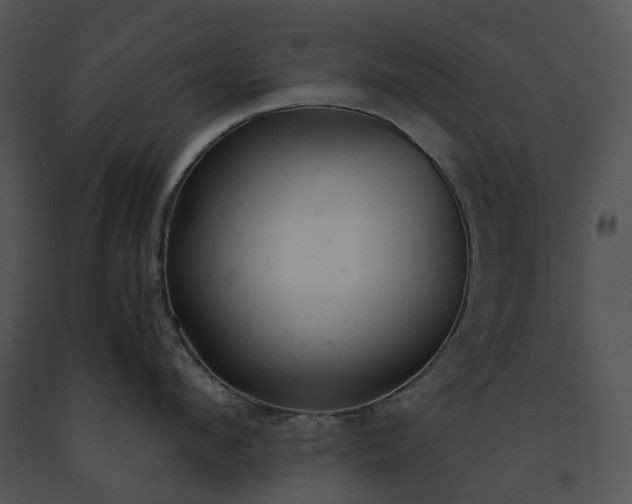 X0000091660912200708301436