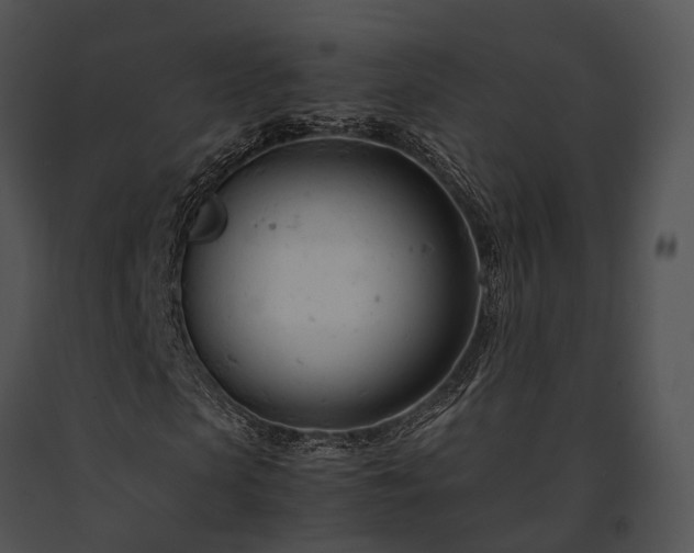 X0000091660913200708301436