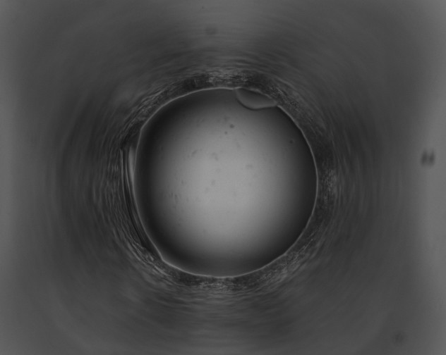 X0000091660914200708301436