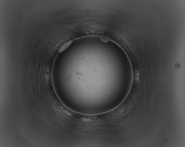 X0000091660915200708301436