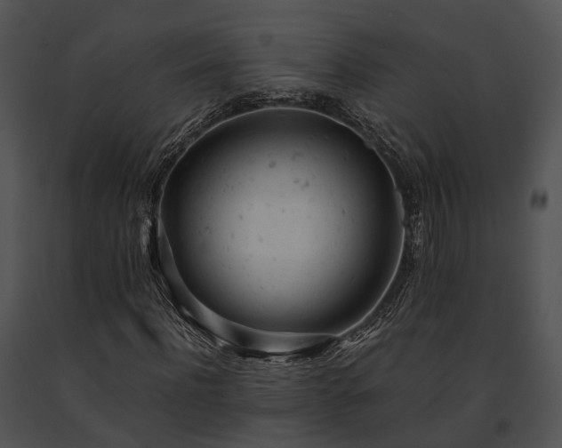 X0000091660916200708301436