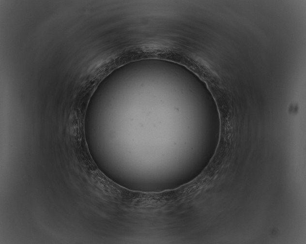 X0000091660917200708301436