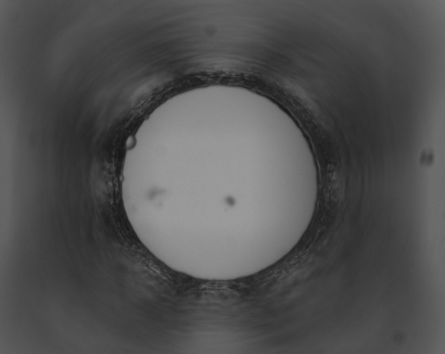 X0000091660918200708301436