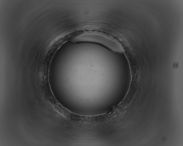 X0000091660920200708301436
