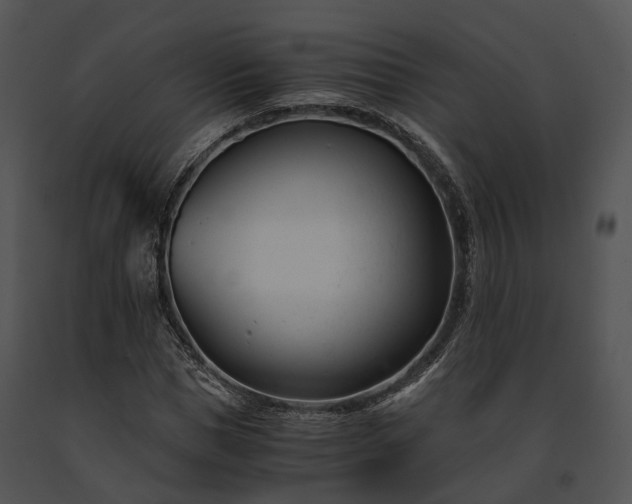 X0000091660921200708301436