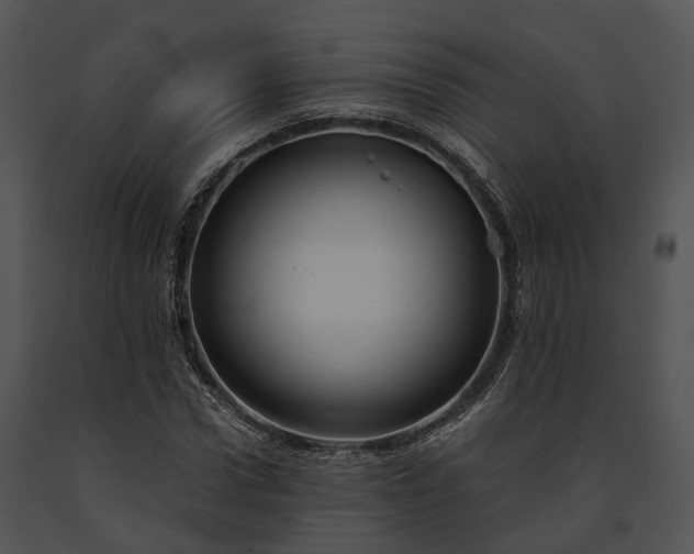 X0000091660922200708301436