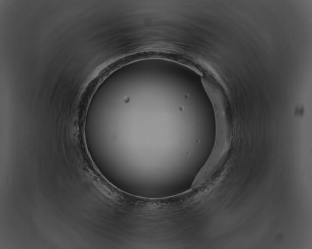 X0000091660923200708301436