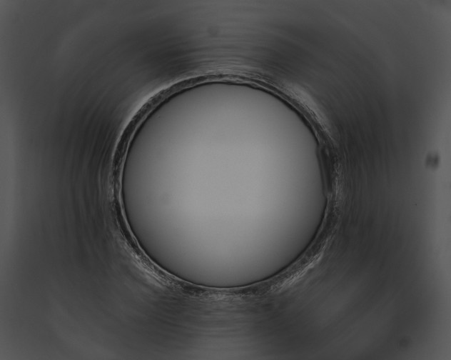 X0000091660924200708301436