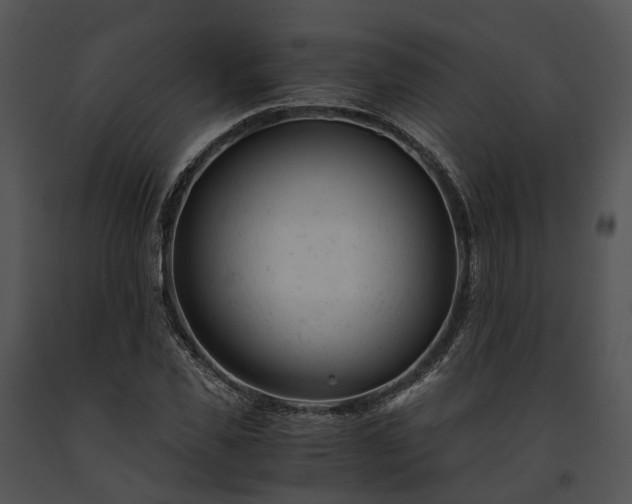 X0000091660925200708301436