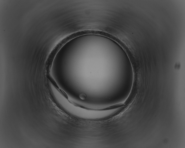 X0000091660926200708301436