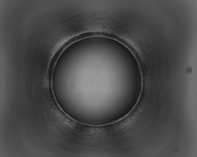 X0000091660927200708301436