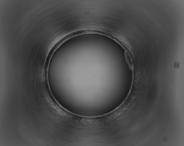 X0000091660928200708301436