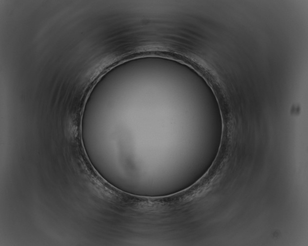 X0000091660929200708301436
