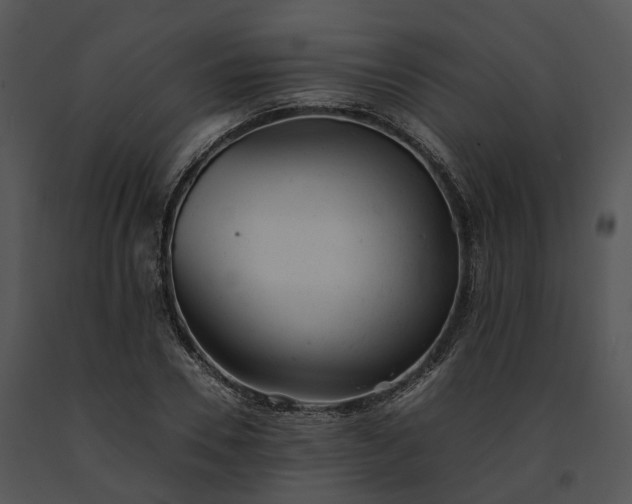 X0000091660930200708301436