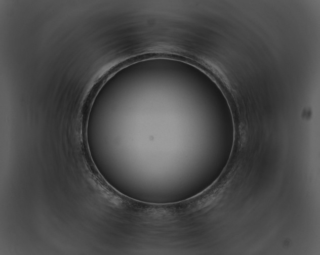 X0000091660931200708301436