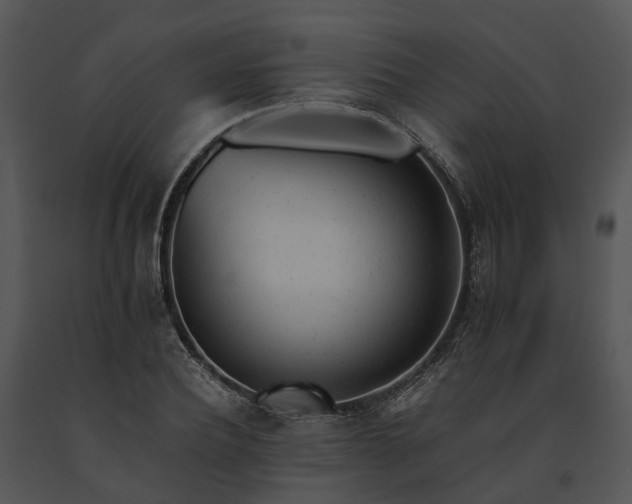 X0000091660932200708301436