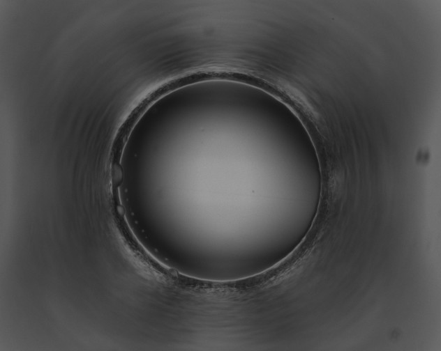 X0000091660934200708301436