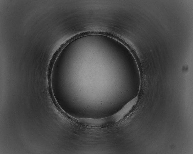 X0000091660935200708301436