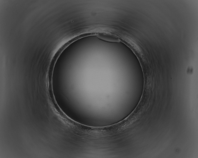 X0000091660936200708301436