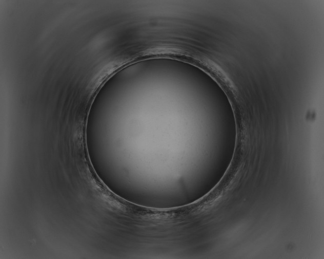 X0000091660937200708301436
