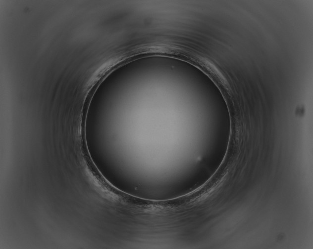 X0000091660938200708301436