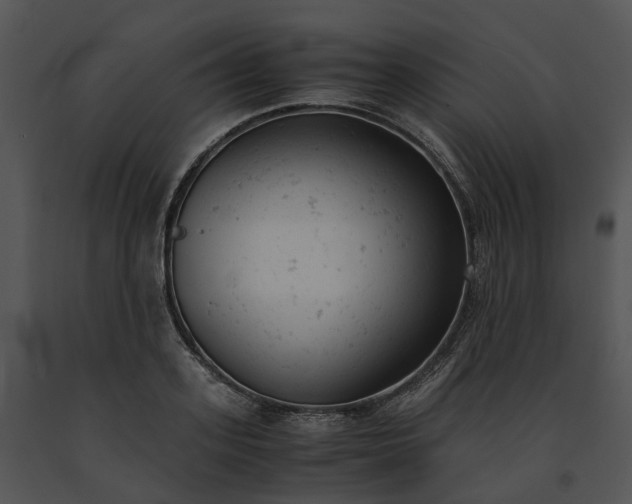 X0000091660939200708301436