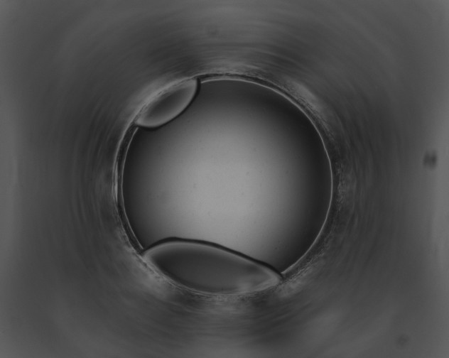 X0000091660940200708301436
