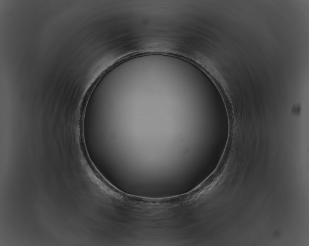 X0000091660941200708301436