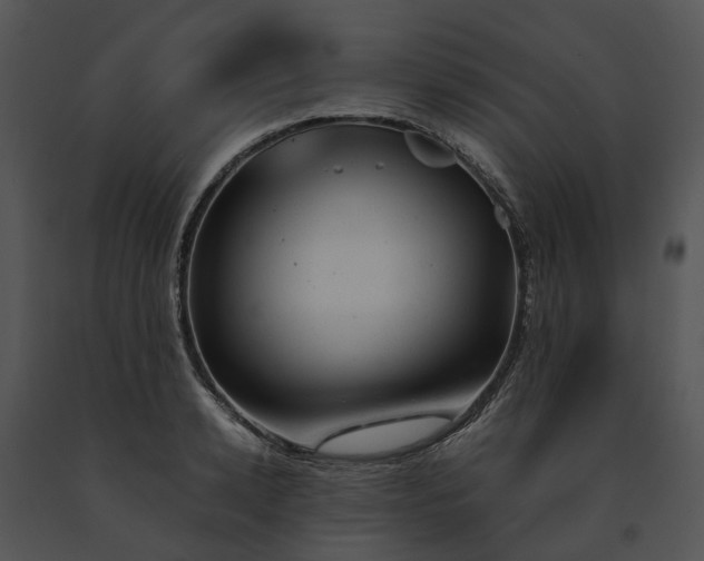X0000091660942200708301436