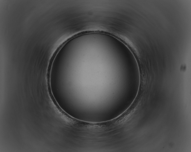 X0000091660943200708301436