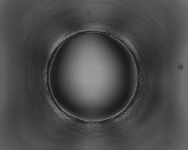 X0000091660944200708301436