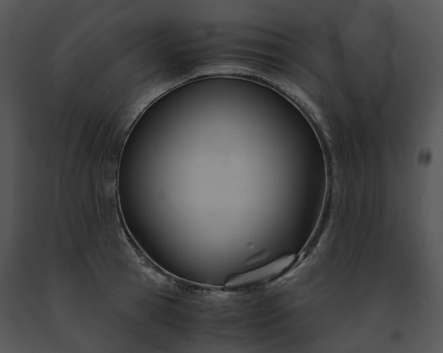 X0000091660945200708301436