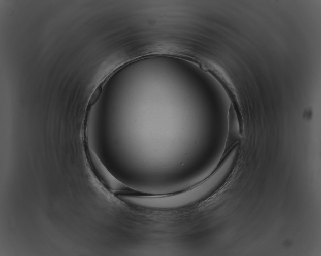 X0000091660946200708301436