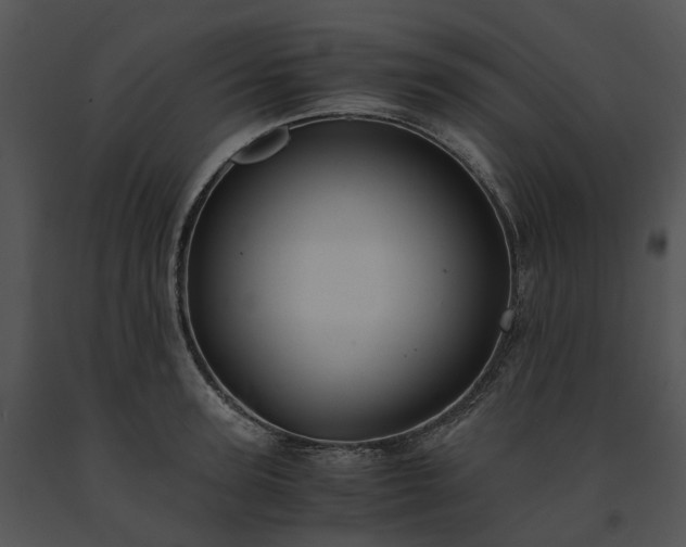 X0000091660947200708301436
