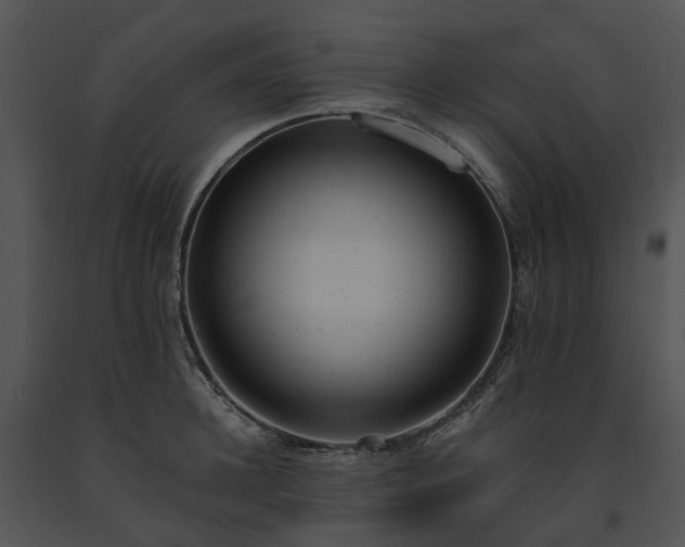X0000091660948200708301436