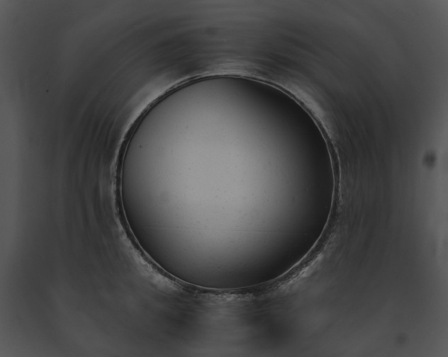 X0000091660949200708301436