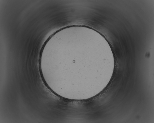 X0000091660950200708301436