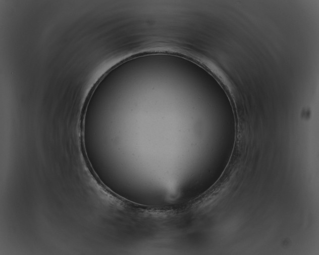 X0000091660951200708301436