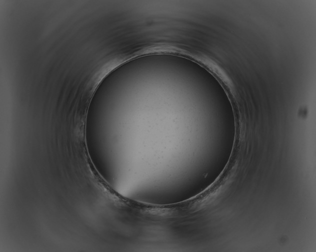 X0000091660953200708301436