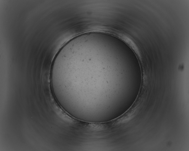 X0000091660954200708301436